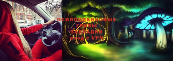 спиды Лагань