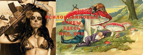 apvp Ладушкин