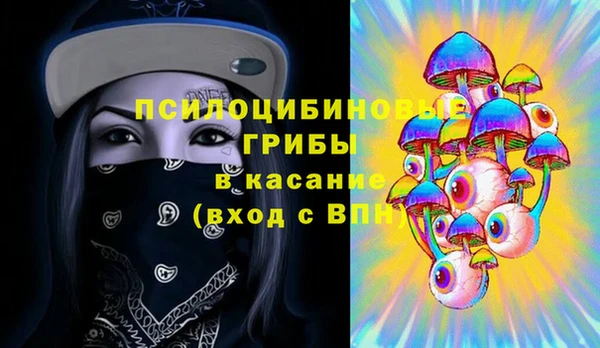 спиды Лагань