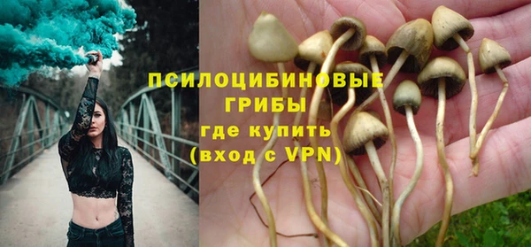 спиды Лагань