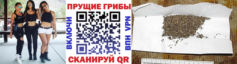 Купить  Багратионовск  Галлюциногенные грибы ЛСД 